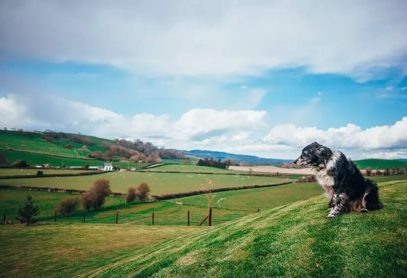 Beautiful Cottage In Idyllic Countryside Setting