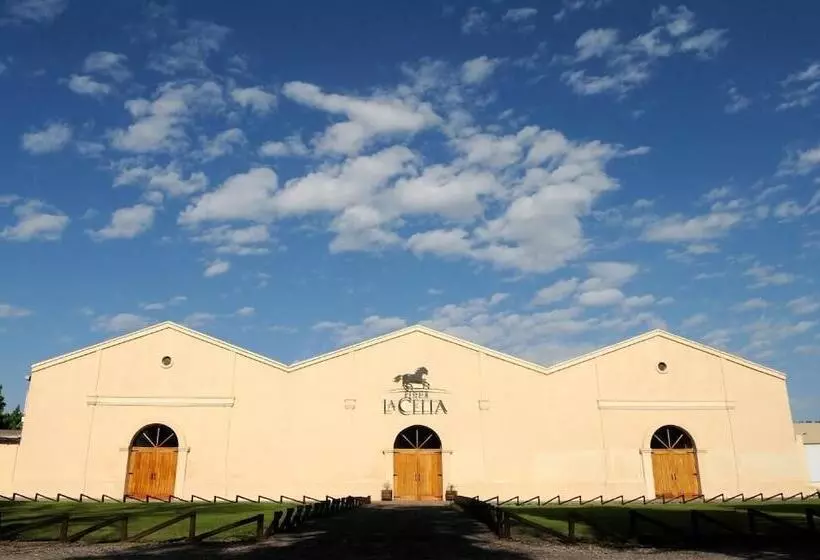 Hostelli Posada La Celia