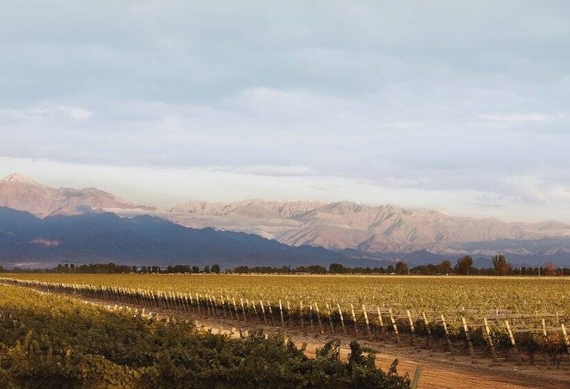 Хостел Posada La Celia