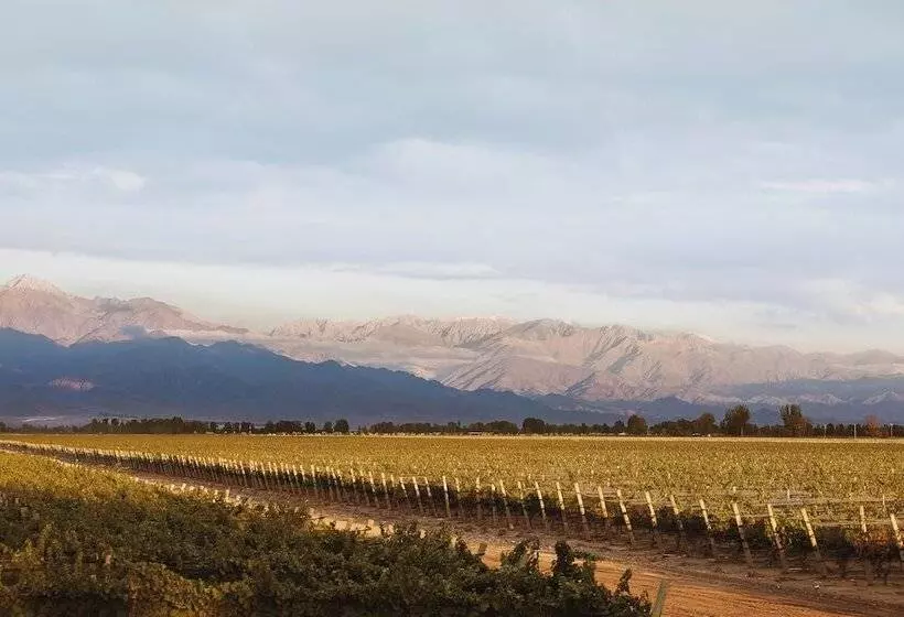 Hostelli Posada La Celia