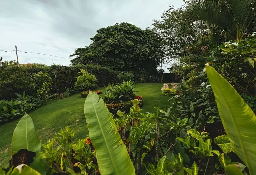 Hotelli Loli's Place