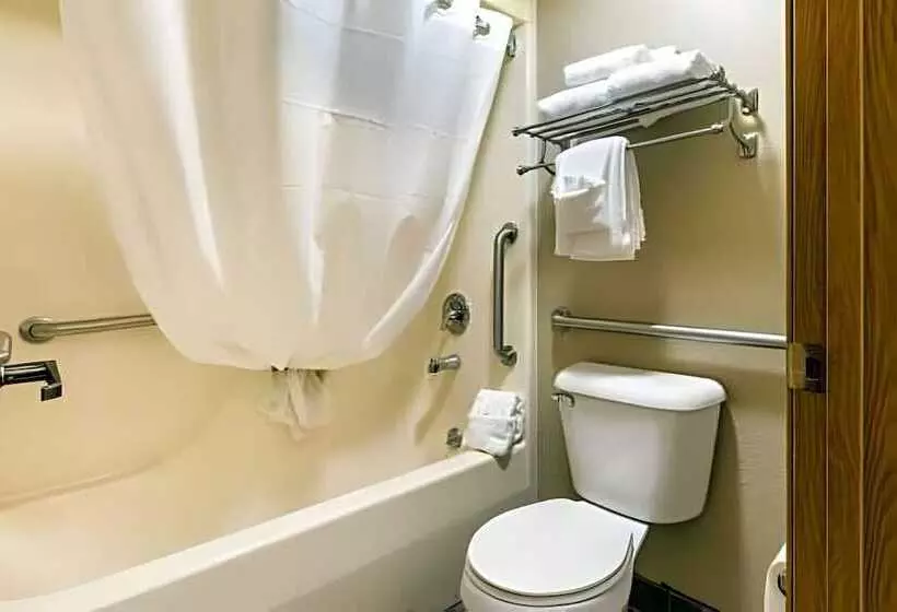 Hotelli Ramada By Wyndham Branson Theatre District