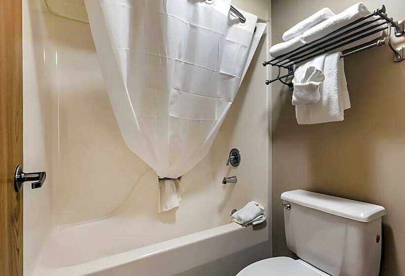 ホテル Ramada By Wyndham Branson Theatre District