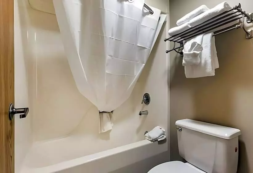 Hotelli Ramada By Wyndham Branson Theatre District