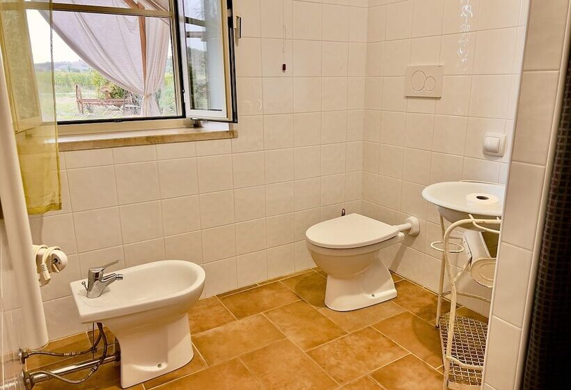 Kır Oteli Carpine Agriturismo Bio In Maremma