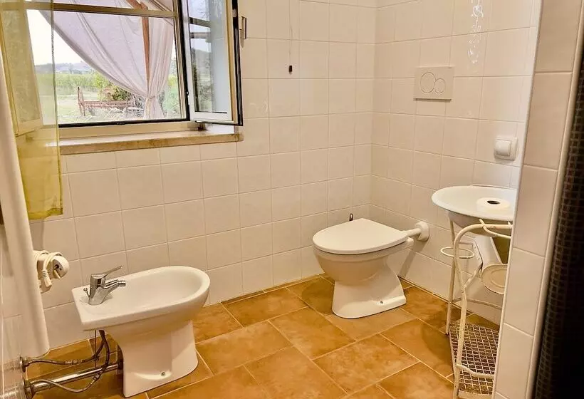 田舎風ホテル Carpine Agriturismo Bio In Maremma