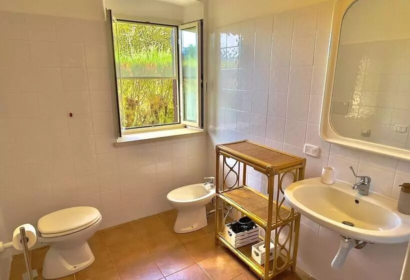 田舎風ホテル Carpine Agriturismo Bio In Maremma