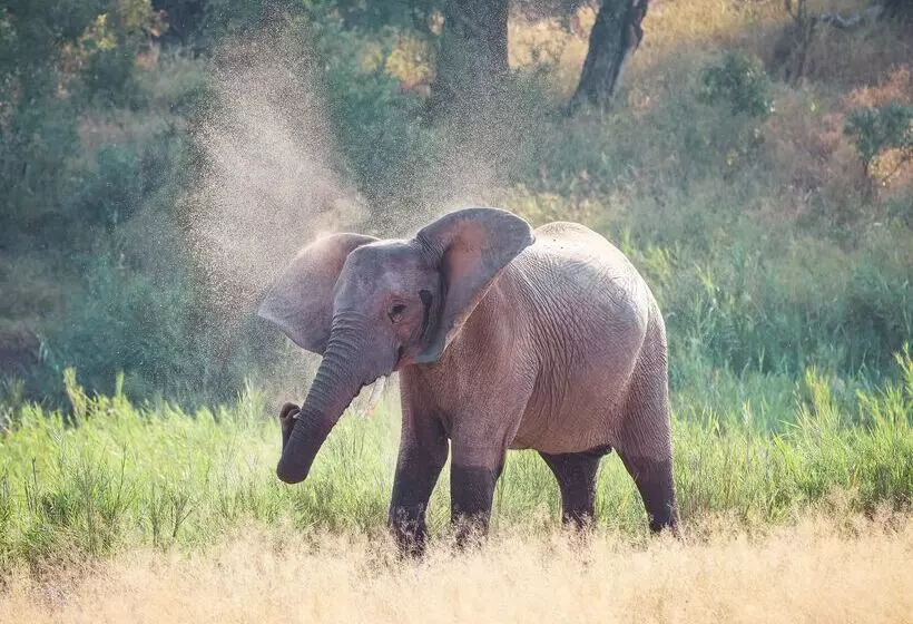 Hotelli Simbavati Homestead