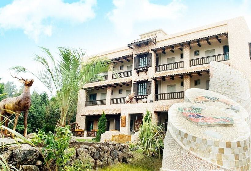 Jeju Oedolgaenara Pension & Guesthouse