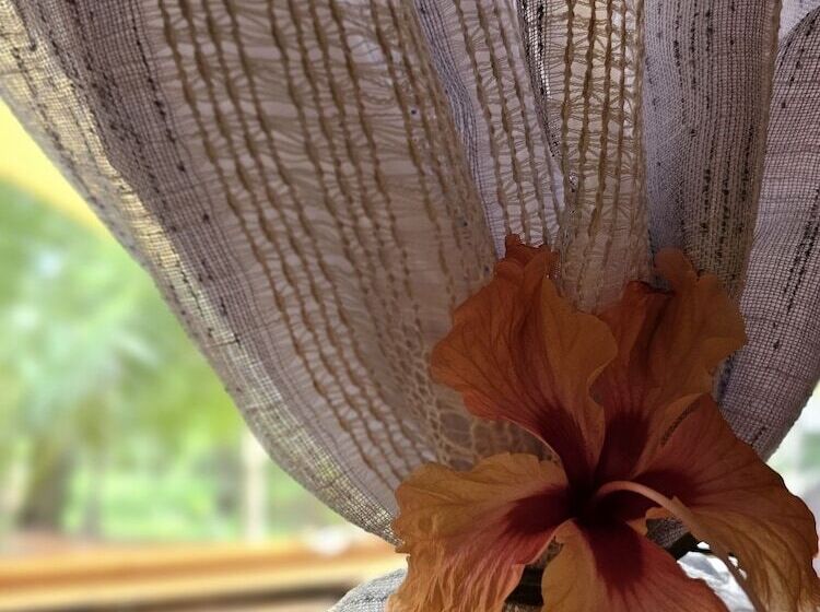 The Lighthouse Hotel And Spa