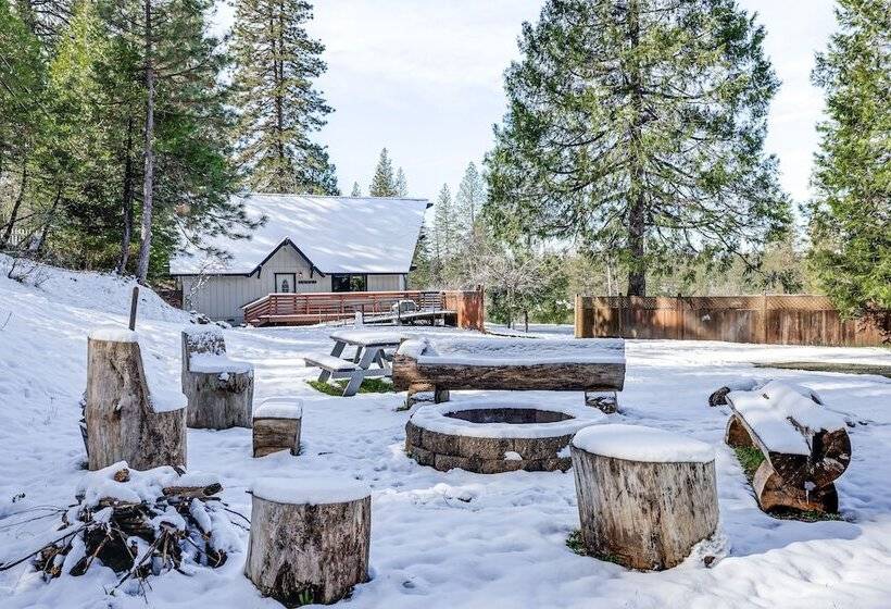 Secluded Cabin Near Calaveras Big Trees State Park