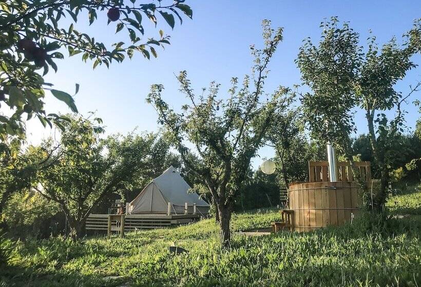 膳宿费 The Far End Surf House