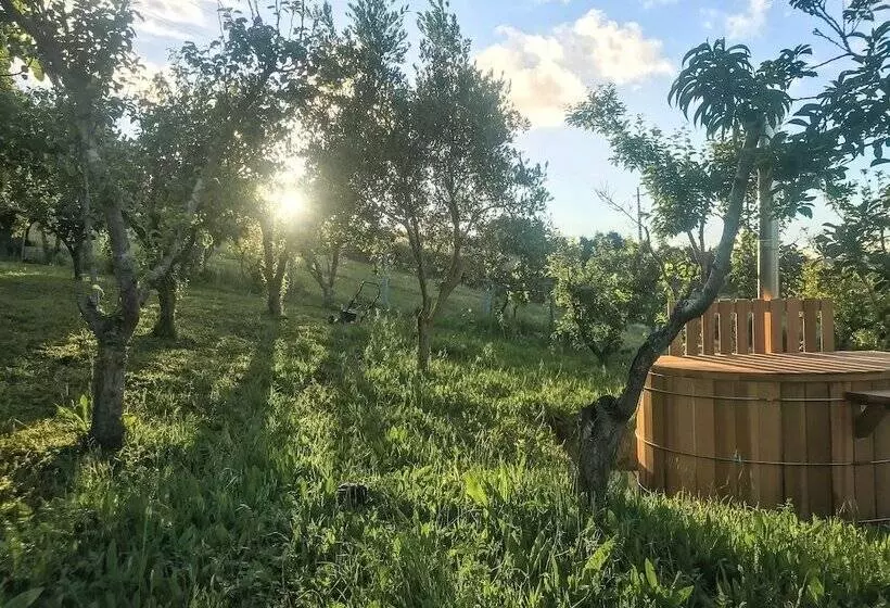 Majatalo The Far End Surf House