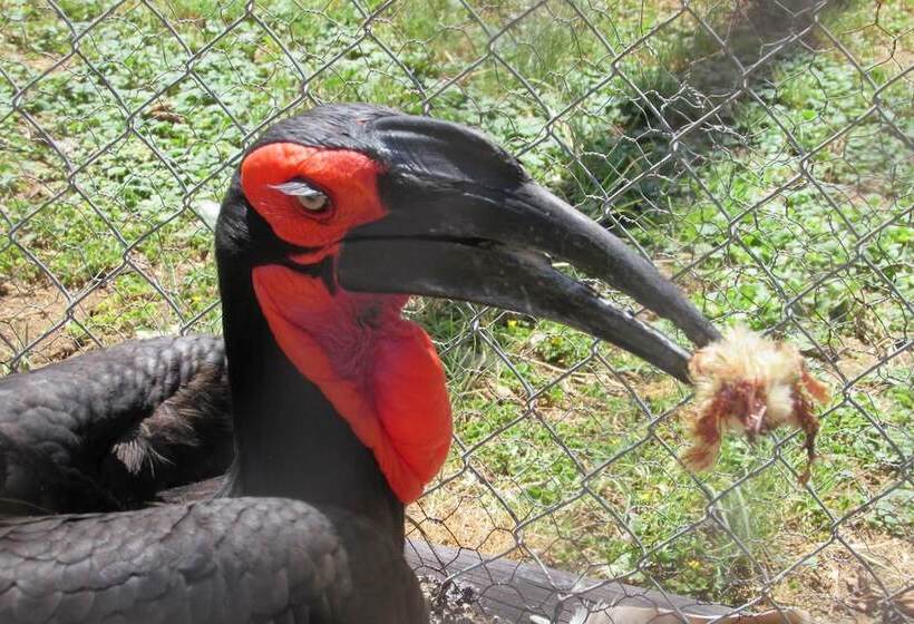 Amanzimlotzi Riverside Bush Camp