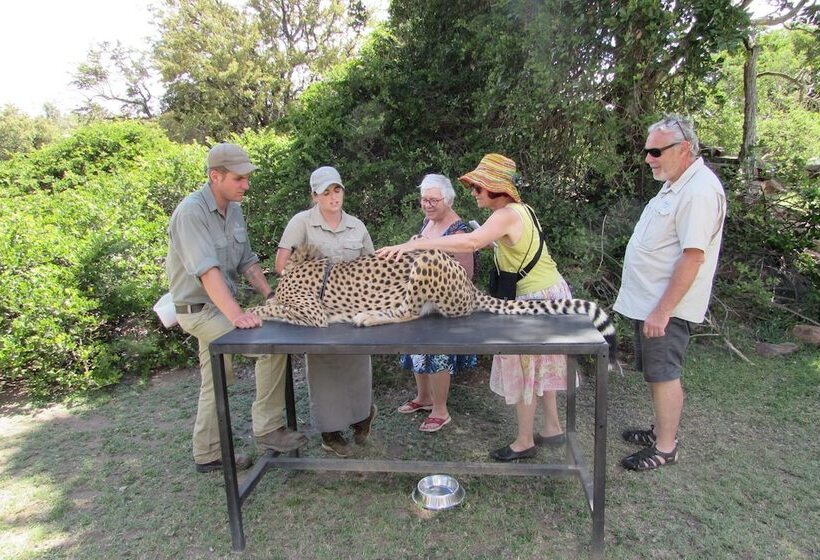 Amanzimlotzi Riverside Bush Camp