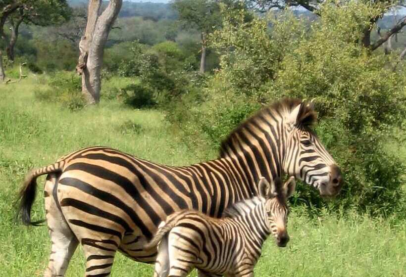 Amanzimlotzi Riverside Bush Camp