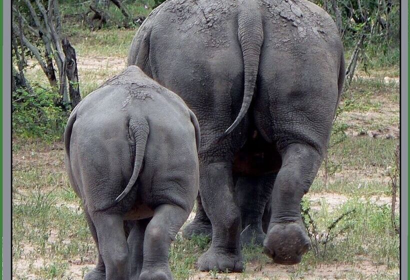 Amanzimlotzi Riverside Bush Camp