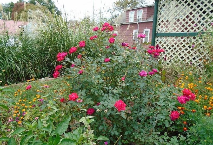 Cobbler Room & Cottage B&b