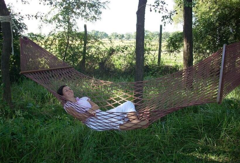 هتل Lumbini Buddha Garden Resort