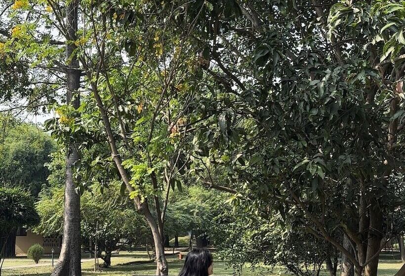 هتل Lumbini Buddha Garden Resort