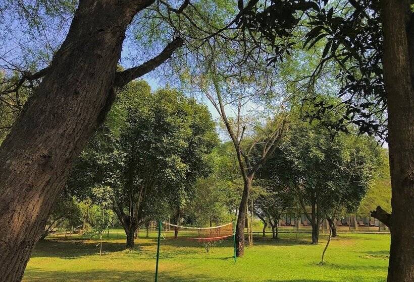 هتل Lumbini Buddha Garden Resort