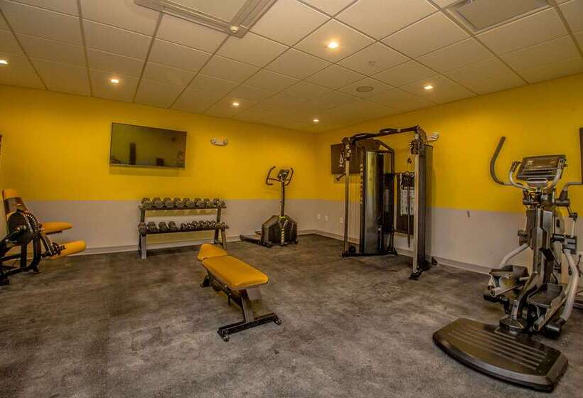 The Chandler At White Mountains, An Ascend Hotel Collection Membe