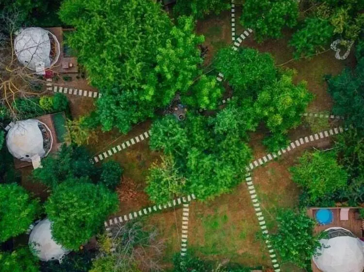 تختخواب و صبحانه Hypnos Sapanca Glamping & Spa