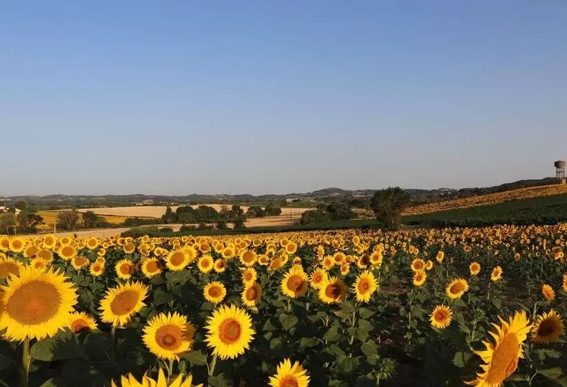 Pax & Amor   Boutique B&b