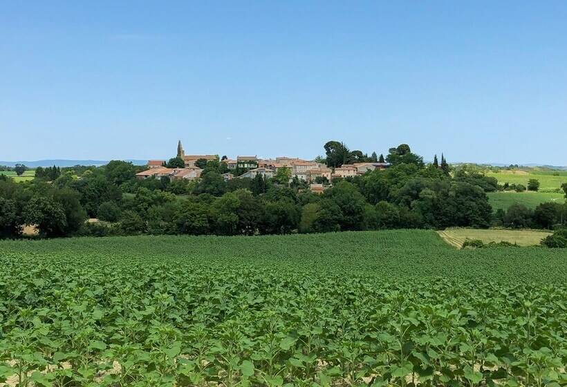 Pax & Amor Boutique B&b