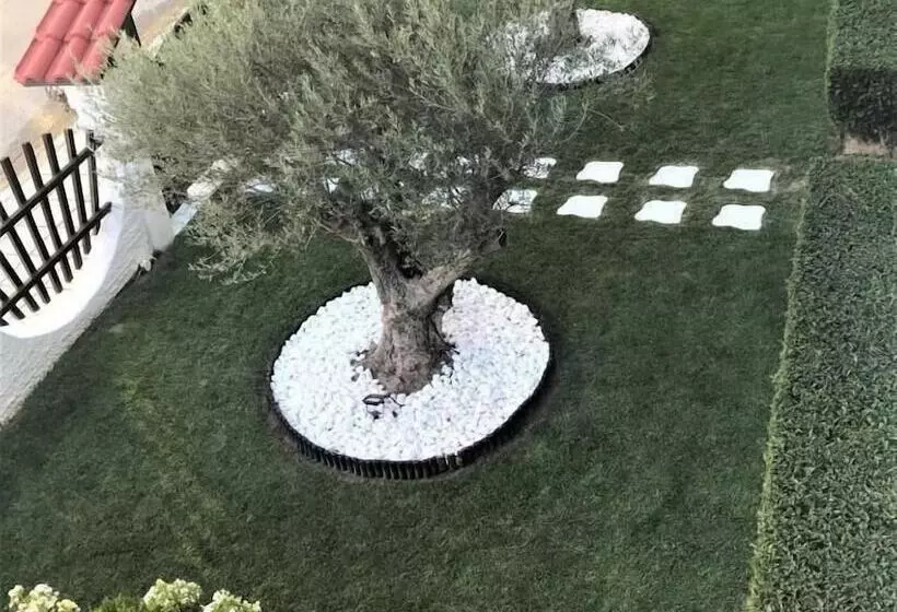 Majatalo Amaryllis Luxury Rooms