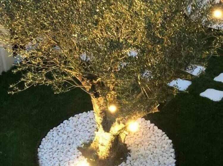 Pensão Amaryllis Luxury Rooms