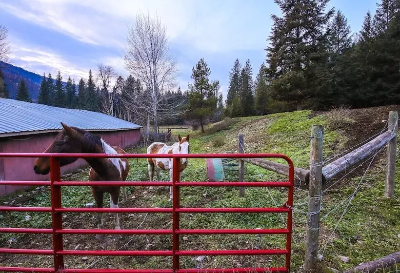 Montana Cabin: Day Trip To Glacier Natl Park!