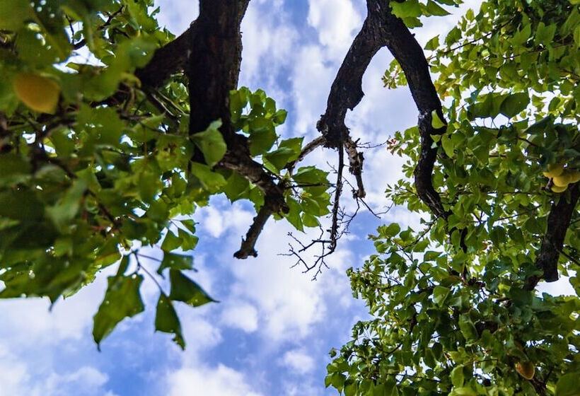 B&b Villa Adriana Castel Del Monte