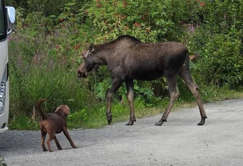 Blue Spruce Apartment