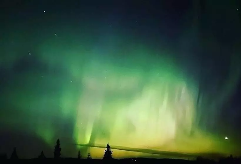 Blue Spruce Apartment