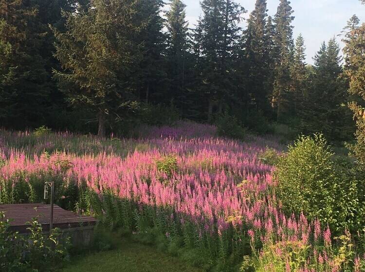 Blue Spruce Apartment