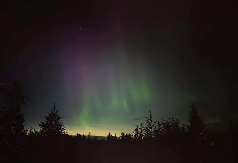 Blue Spruce Apartment