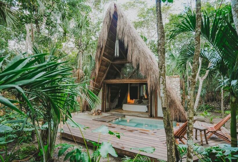 בית מלון כפרי Naya Bacalar