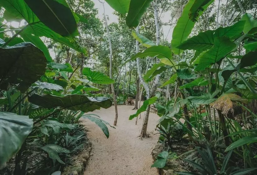 Hotelli Naya Bacalar