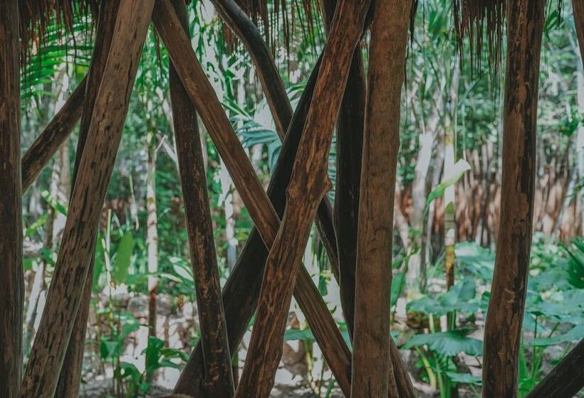 בית מלון כפרי Naya Bacalar