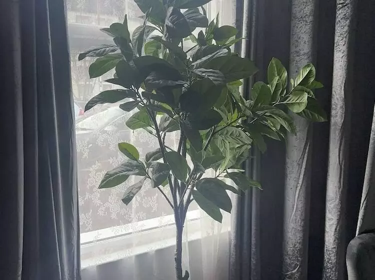 Residenssi Modern 3bed Garden House In Croydon, London ,uk