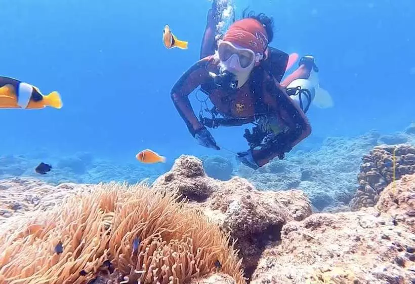 استراحتگاه South Pacific Memories