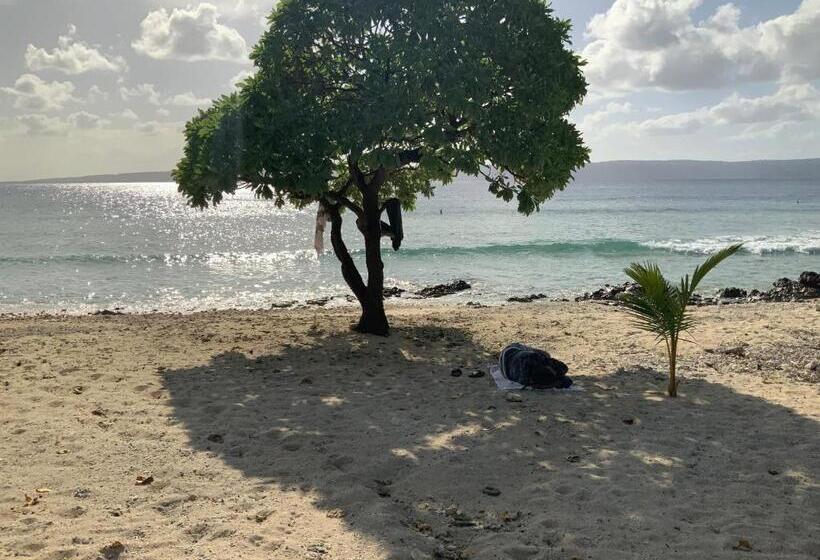 استراحتگاه South Pacific Memories