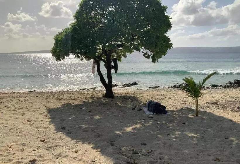 استراحتگاه South Pacific Memories