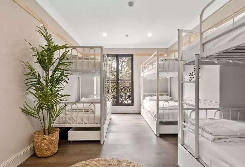 هاستل Venus Surry Hills Female Only