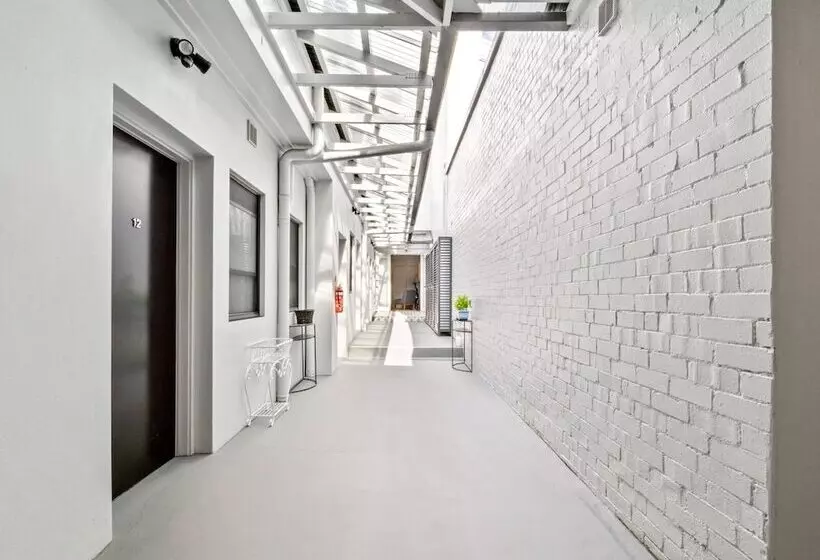 هاستل Venus Surry Hills Female Only