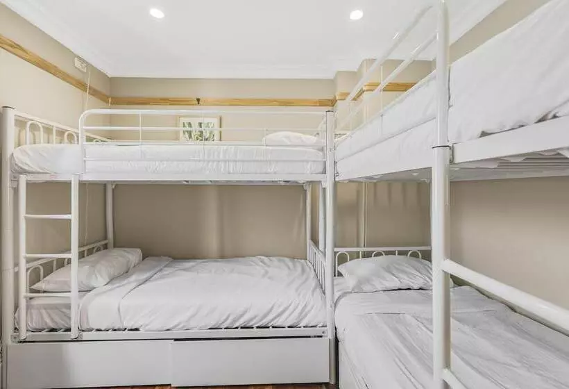 هاستل Venus Surry Hills Female Only