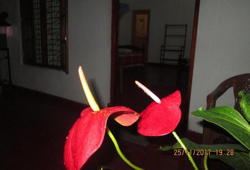 بنسيون Ariyawansa Guest House
