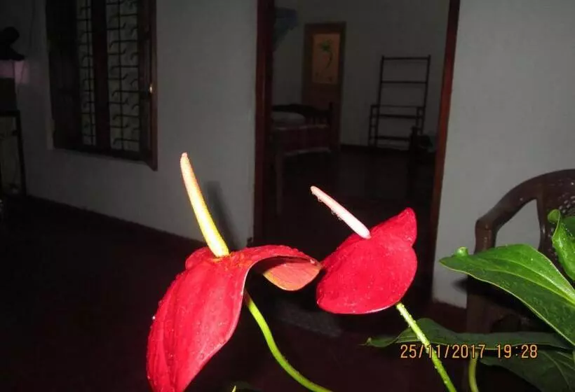 ペンション Ariyawansa Guest House