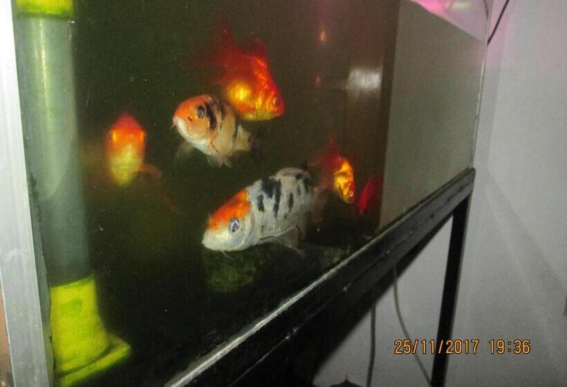 بنسيون Ariyawansa Guest House